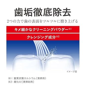 Amazon | ライオン デンター 歯磨き粉 歯垢除去 クリアMAX